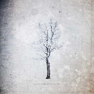 国模女同拉拉图片欣赏
